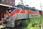 DLS 54 on the excursion train